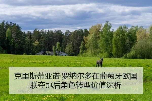ke-li-si-di-ya-nuo-luo-na-er-duo-zai-pu-tao-ya-ou-guo-lian-duo-guan-hou-jue-se-zhuan-xing-jia-zhi-shen-xi-2-584.jpg
